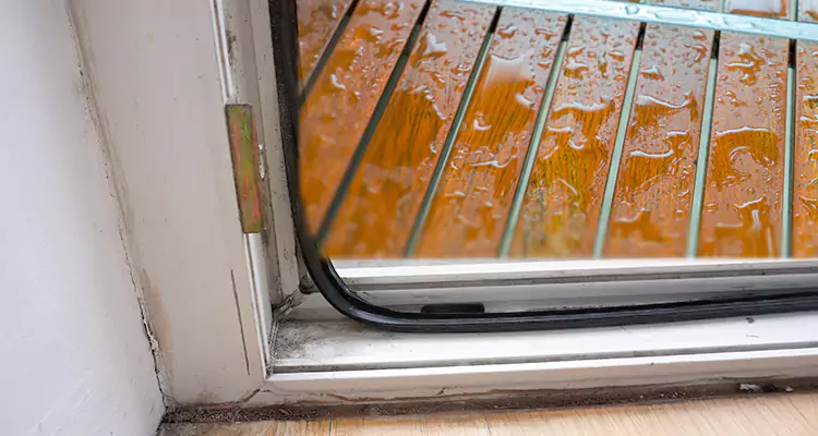 Water Leaking Wooden Patio Doors Repair in Lynn Haven, FL